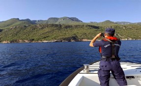 Muğla'da ormanlara karadan, havadan ve denizden koruma