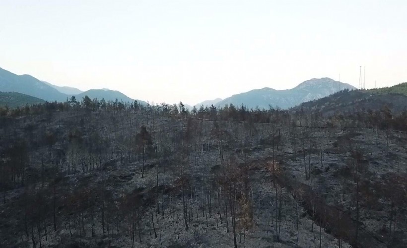 Vali Akbıyık açıkladı: Fethiye'deki yangın kontrol altına alındı
