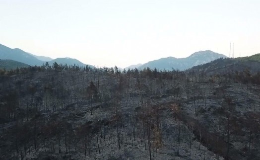 Vali Akbıyık açıkladı: Fethiye'deki yangın kontrol altına alındı