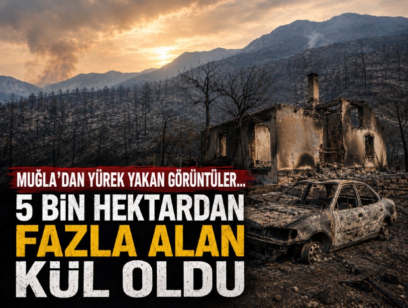 Muğla’dan yürek yakan görüntüler... 5 bin hektardan fazla alan kül oldu