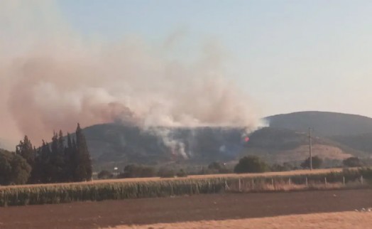 Torbalı'da orman yangını