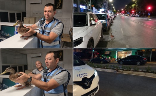 Trafiği durdurup ördeği kurtardılar