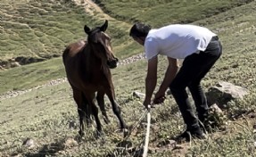 Yılkı atları için kurulan tuzaklar imha edildi