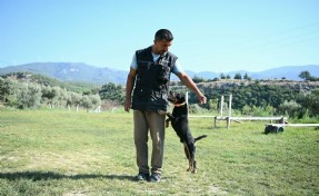 11 yılda yetiştirdiği 4 arama köpeğiyle, sayısız hayat kurtardı