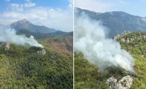 Antalya'da orman yangını: Ekipler müdahale ediyor