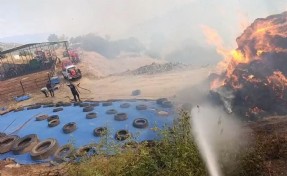 Aydın'dan güzel haber: Yangın kontrol altında