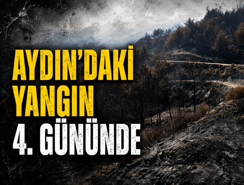 Aydın'daki orman yangını 4'üncü gününde