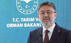 Bakan Yumaklı'dan orman yangınlarına ilişkin açıklama