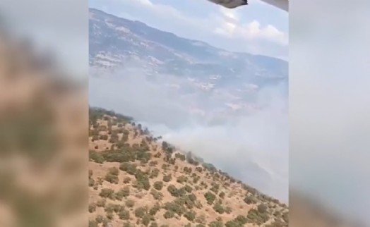 Üç ilde peş peşe orman yangını