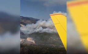 Balıkesir’de kamyonda başlayan yangın ormana sıçradı