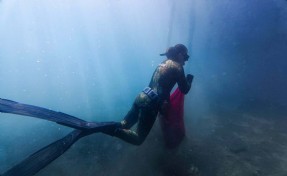 Bodrum'da deniz dibi temizlendi