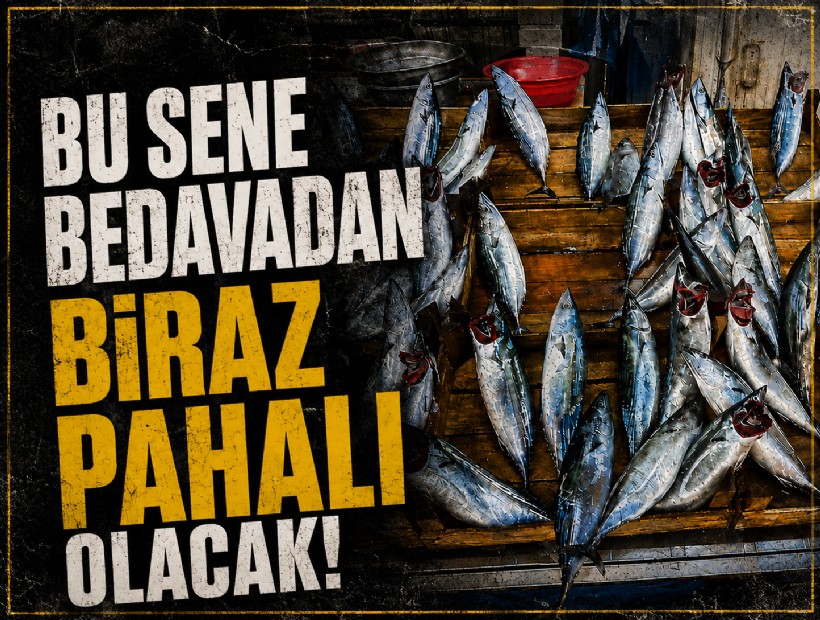Bu sene palamut bedavadan biraz pahalı olacak!