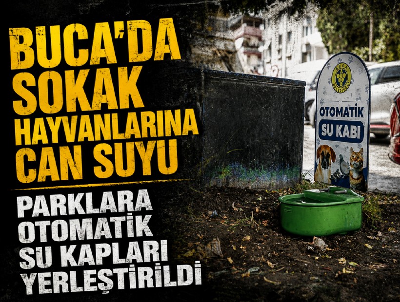 Buca'da sokak hayvanlarına can suyu:  Parklara otomatik su kapları yerleştirildi