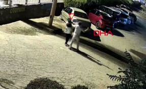 Diyabakır'da görülmemiş vahşet: Eşini kucağında çocuğuyla katletti!