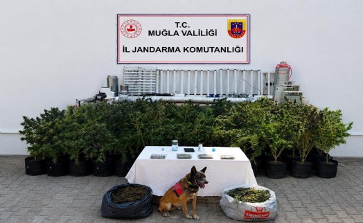 Evinde uyuşturucuyla yakalanan şüpheliye gözaltı
