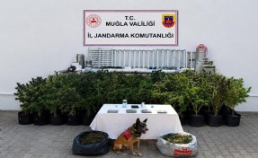 Evinde uyuşturucuyla yakalanan şüpheliye gözaltı
