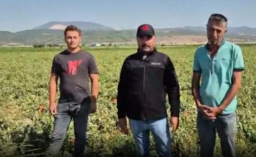 İzmir-Kınık’ta çiftçinin feryadı: 'Çalışarak, üreterek batıyoruz'