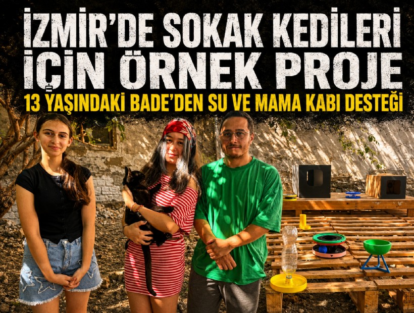 İzmir'de sokak kedileri için örnek proje: 13 yaşındaki Bade'den su ve mama kabı desteği