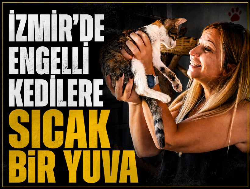 İzmir’de engelli kedilere sıcak bir yuva