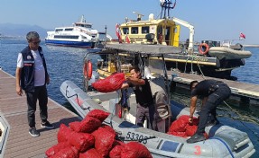 İzmir’de yasa dışı yollarla avlanılan 560 kilo kara midyeye el konuldu