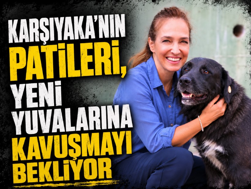 Karşıyaka’nın patileri, yeni yuvalarına kavuşmayı bekliyor