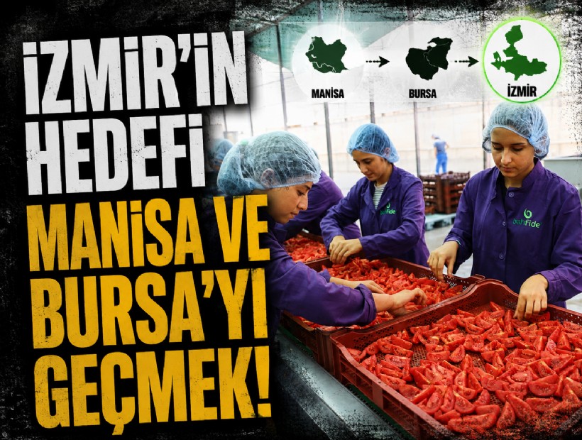 Kurutulmuş domateste hedef Manisa ve Bursa'yı geçmek