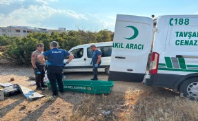 Kütahya'da şüpheli ölüm: Boş arazide otomobilinin yanında cansız bedeni bulundu!