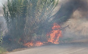 Manisa'da hurdalıktaki yangın, tarım arazisine de sıçradı