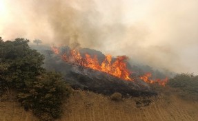 Manisa'da korkutan yangın ekiplerin müdahalesiyle kontrol altında