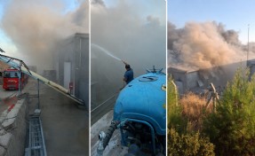 Manisa’da yumurta üretim tesisinde yangın
