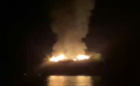 Marmaris’te orman yangını
