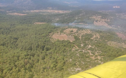 Muğla Menteşe’de çıkan yangın kontrol altına alındı