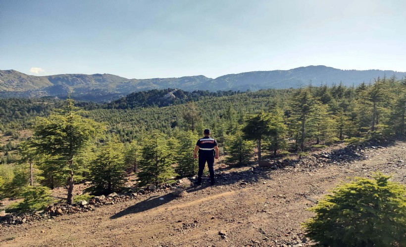 Muğla'da kıvılcım oluşturan makinelere yangın tedbiri