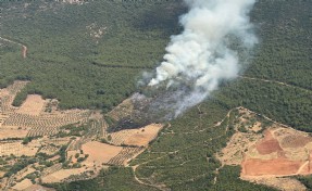 Muğla'da korkutan orman yangını; 1 saatte kontrol altına alındı