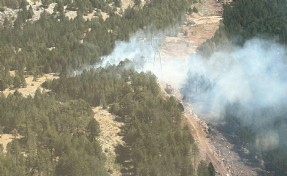 Muğla’da kızılçam ormanında yangın: 2 dekar alan zarar gördü