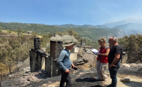 Muğla’da yangından etkilenen üreticiler için hasar tespit çalışmaları sürüyor
