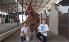 Seferihisar’da pony biniciliğinin yeni merkezi: Turgut Köyü