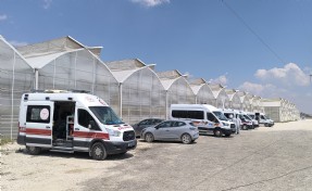 Sera çalışanları tarım ilacından etkilendi: 24 kişi hastanede