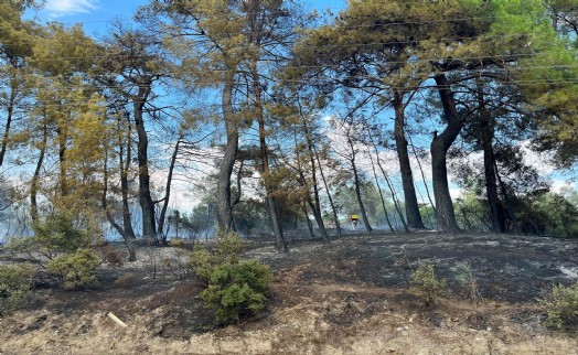 Seydikemer'den sevindiren haber: Yangın kontrol altında