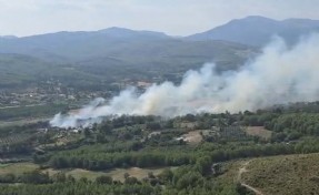 Seydikemer’de korkutan orman yangını