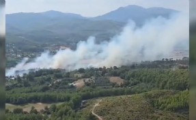 Seydikemer’de orman yangını çıktı