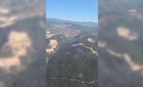 Sındırgı’da orman yangını kontrol altına alındı
