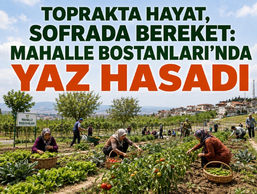 Toprakta hayat, sofrada bereket: Mahalle Bostanları’nda yaz hasadı