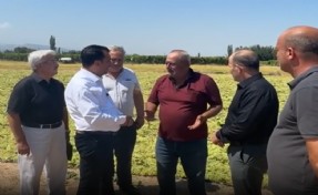 Üzüm üreticisi YENİ Partili Başevirgen'e dert yandı: 'Babam yedi çocuğa bakmış, biz iki çocuğa bakamıyoruz'