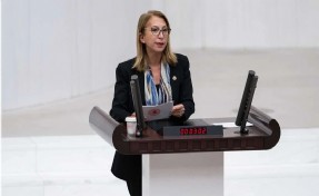 YENİ Partili Milletvekili, çerçeve yasaya 'hayır' oyu vereceğini açıkladı