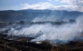 Afyon'da 150 dönüm ekili tarla kül oldu