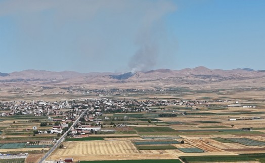 Afyonkarahisar'da arazi yangını büyümeden söndürüldü