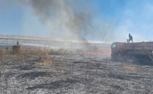 Afyonkarahisar’da ot yangını seraya sıçradı