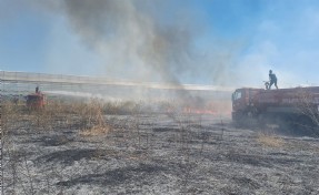 Afyonkarahisar’da ot yangını seraya sıçradı