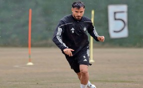 Altay'dan Sefa harekatı